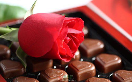情人节与巧克力