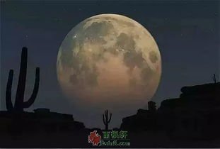 毛乌素沙漠的月亮