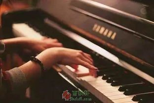 钢琴的爱