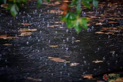 乌夜啼·昨夜风兼雨