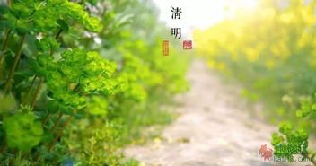 风入松·听风听雨过清明