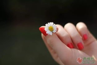 水仙子·红指甲