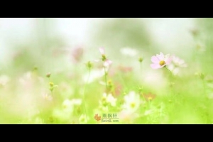 余生，健康就好