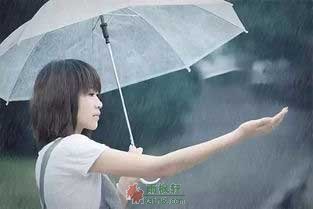爱是雨中的一把伞