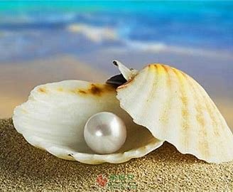 不是所有贝壳里都有珍珠