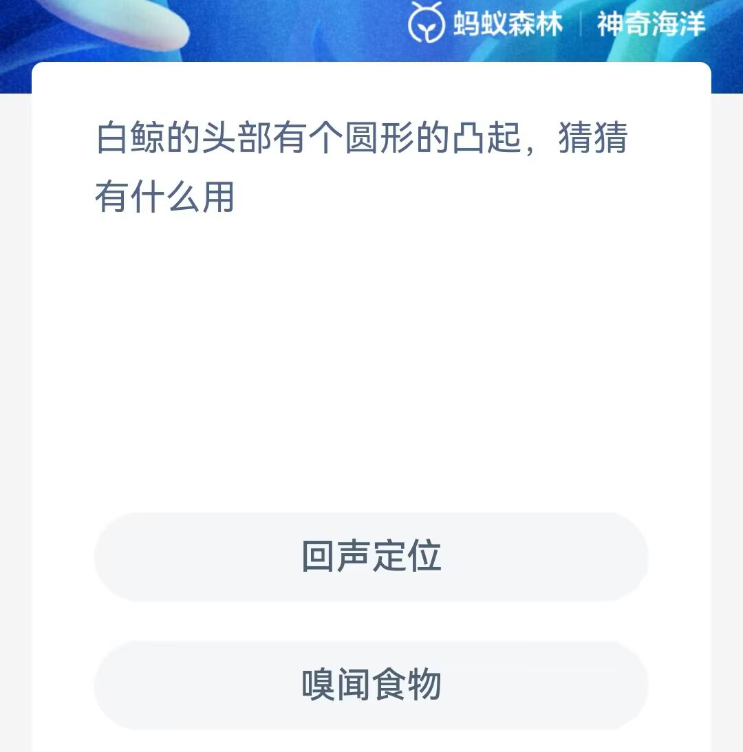 《支付宝》神奇海洋2023年10月26日答案攻略