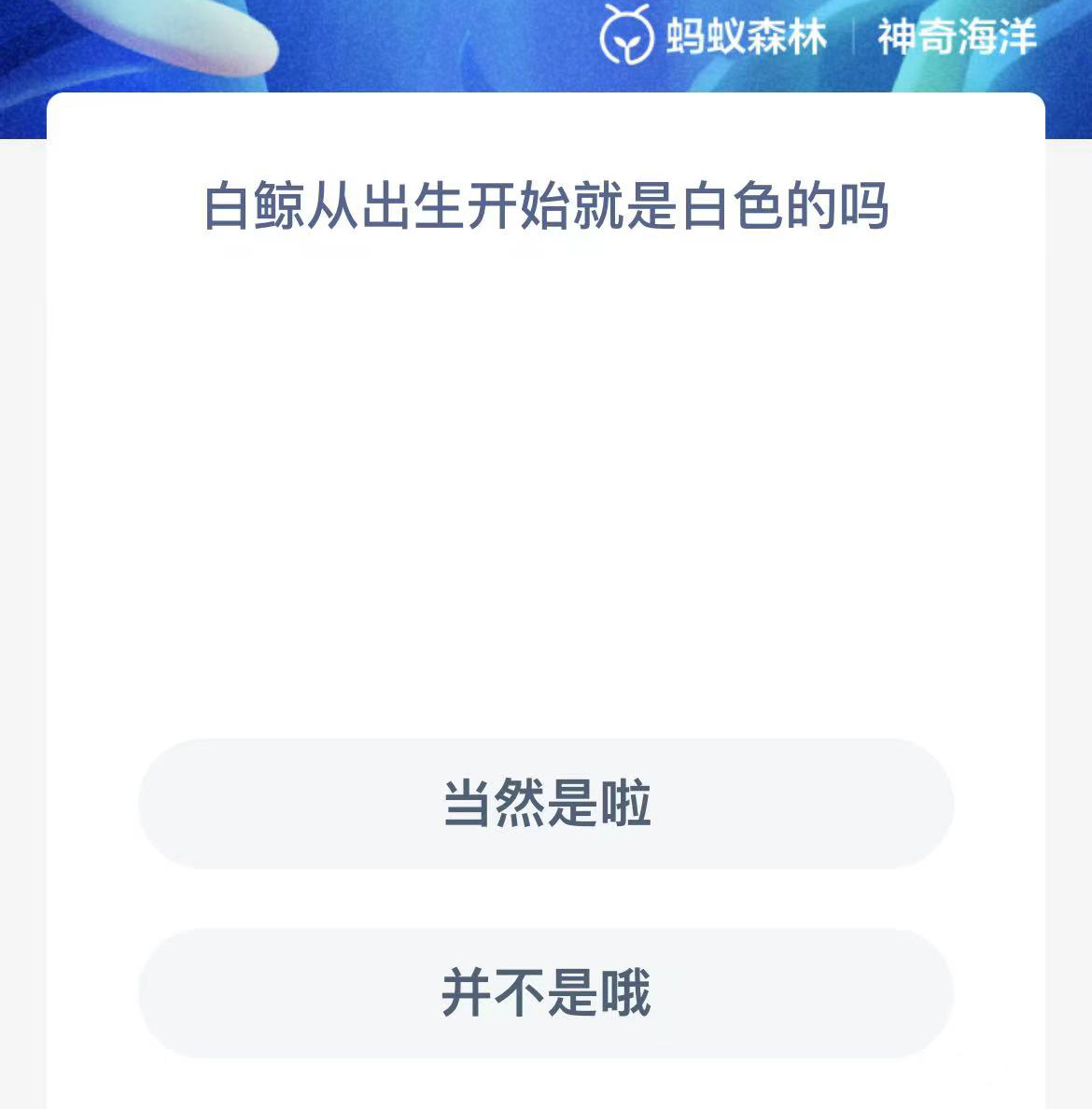 《支付宝》神奇海洋2023年10月31日答案攻略