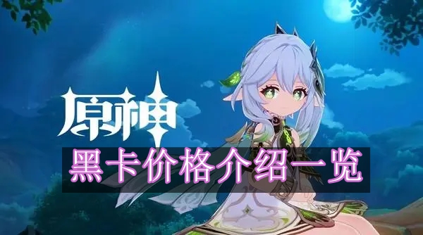 《原神》黑卡价格介绍一览