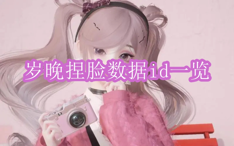 《以闪亮之名》岁晚捏脸数据id一览