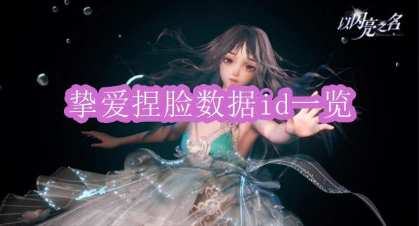 《以闪亮之名》挚爱捏脸数据id一览