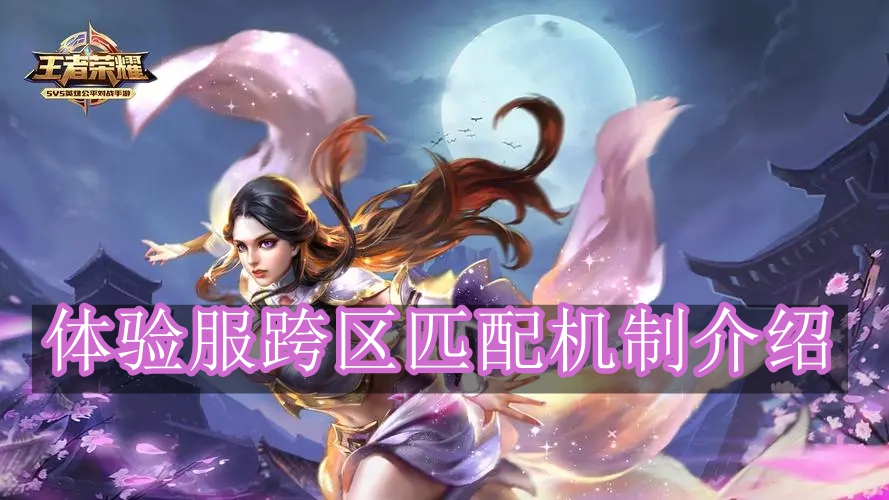 《王者荣耀》体验服跨区匹配机制介绍