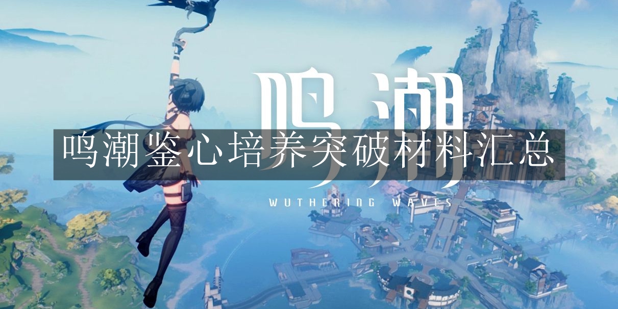 《鸣潮》鉴心培养突破材料汇总