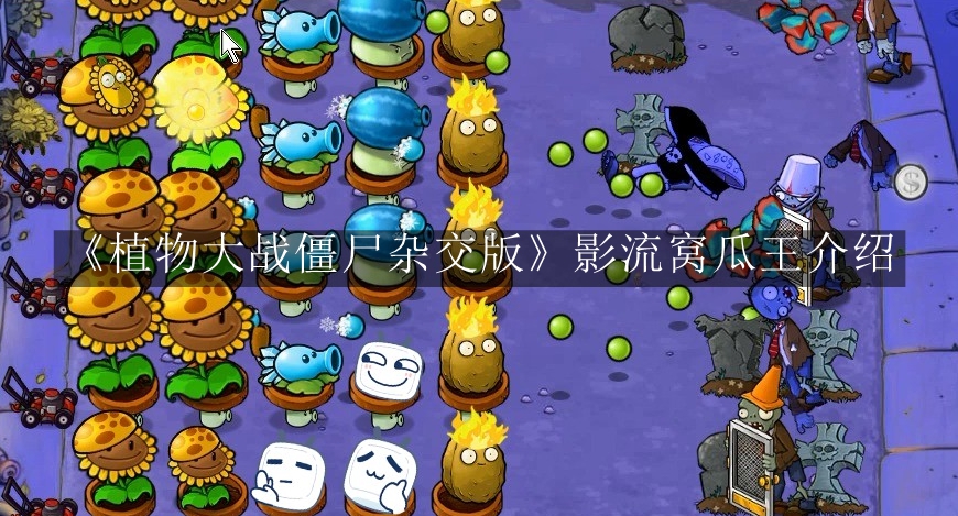 《植物大战僵尸杂交版》影流窝瓜王介绍