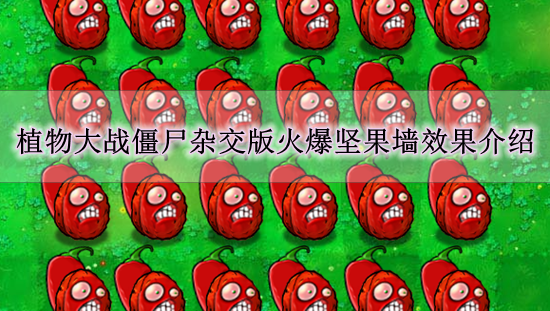 《植物大战僵尸杂交版》火爆坚果墙效果介绍