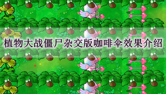 《植物大战僵尸杂交版》咖啡伞效果介绍