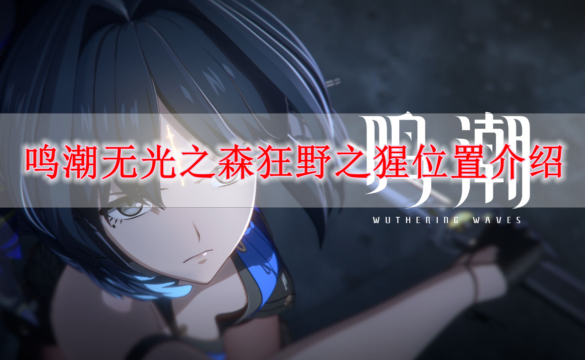 《鸣潮》无光之森狂野之猩位置介绍