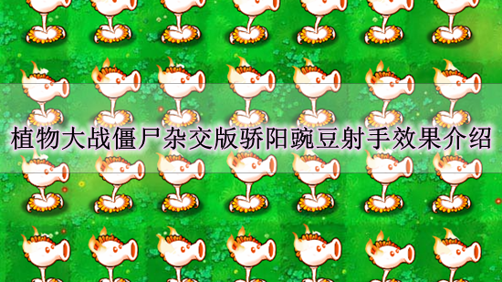 《植物大战僵尸杂交版》骄阳豌豆射手效果介绍