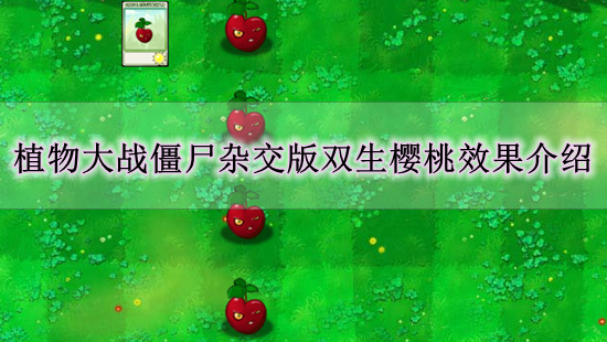 《植物大战僵尸杂交版》双生樱桃效果介绍