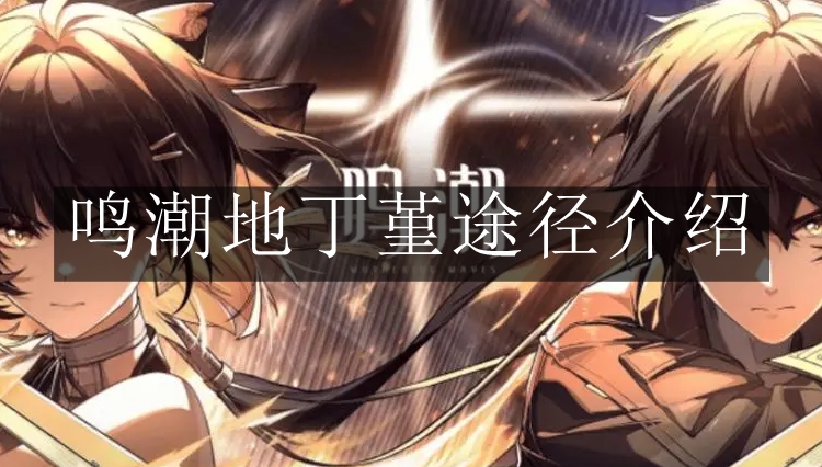 《鸣潮》地丁堇途径介绍