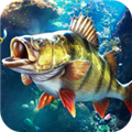 欢乐钓鱼大师正版