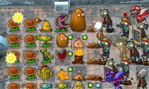 植物大战僵尸