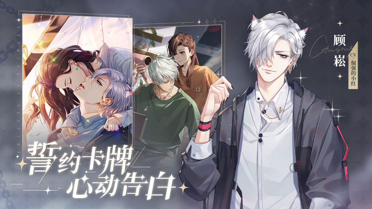 猫之宿约者2024最新版