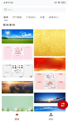 白鸽壁纸免费版