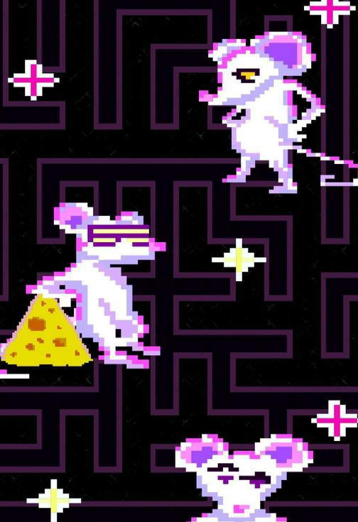 老鼠迷宫找奶酪