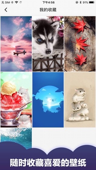 小熊壁纸最新版