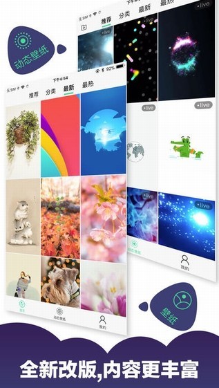 小熊壁纸最新版