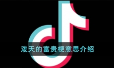 《抖音》泼天的富贵梗意思介绍