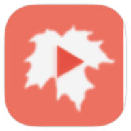 枫叶追剧手机版