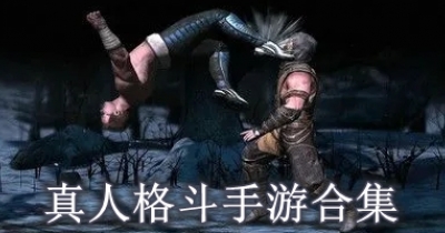真人格斗手游合集