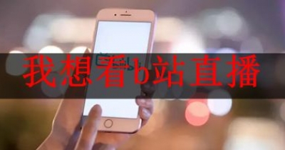 我想看b站直播