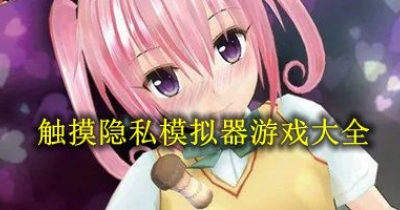 觸摸隱私模擬器遊戲大全