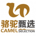 骆驼甄选最新版