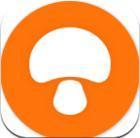 蘑菇漫畫免費版