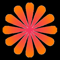 雏菊影视最新版