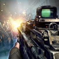 保卫家园作战行动