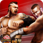 冠军格斗3D安卓版