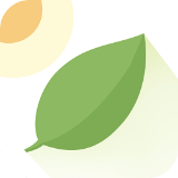 薄荷天气最新版