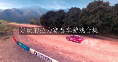 好玩的拉力赛赛车游戏合集