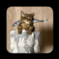 秦河影视最新版