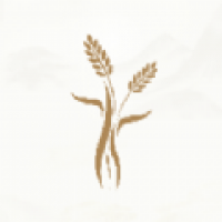 米禾阅读最新版