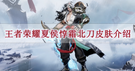 《王者荣耀》夏侯惇霜北刀皮肤介绍
