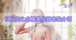 《以闪亮之名》椰果佳荔套装介绍