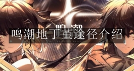 《鸣潮》地丁堇途径介绍