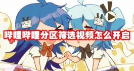 《哔哩哔哩》分区筛选视频怎么开启