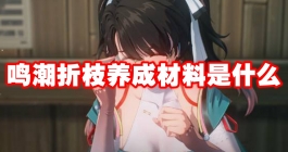 《鸣潮》折枝养成材料是什么