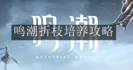 《鸣潮》折枝培养攻略